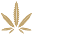 NatbeingCBD logo