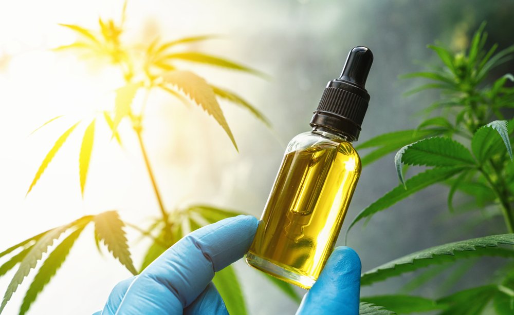 A CBD oil in a doctor hand