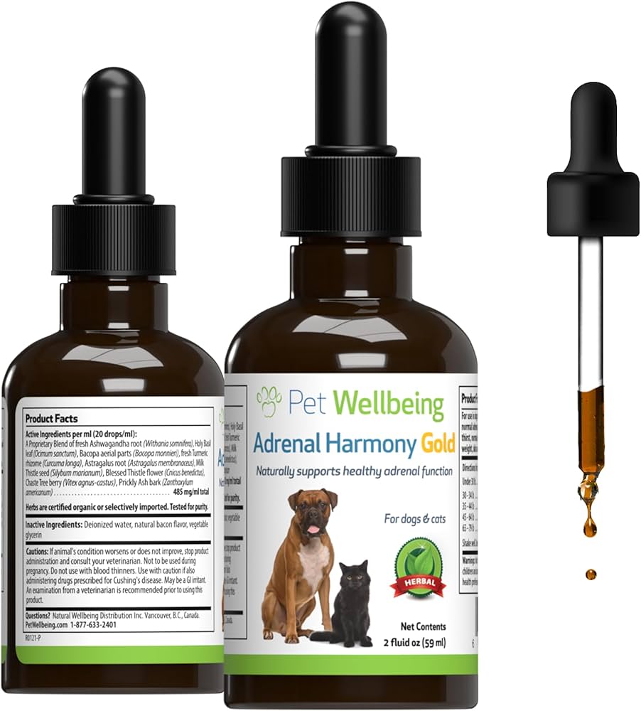 Cbd Vs Herbal Supplements: Which Is Right for You?  