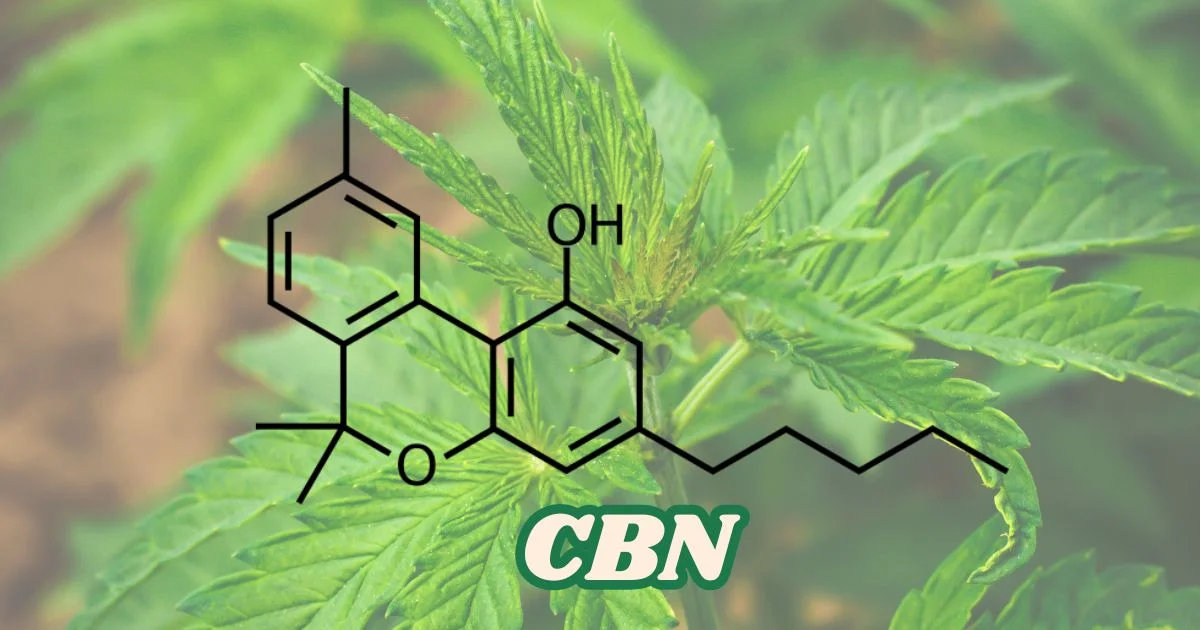 cbn