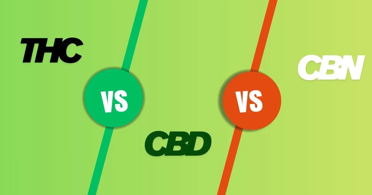 Thc Vs Cbd Vs Cbn