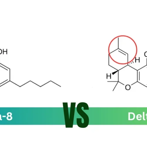 Delta-8 vs Delta-9